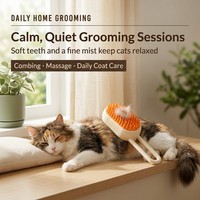 Brosse à vapeur électrique pour animaux de compagnie, peigne à pulvérisation pour chiens et chats, massage, bain, élimination des poils, brosse de toilettage pour animaux de compagnie écologique en ABS
