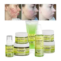 Teebaum Akne Behandlung Gesichts behandlung effektiv entfernen Mitesser Akne Schrumpfen Poren Reparatur Serum Creme Hautpflege-Set