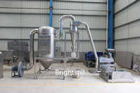 BSDF industriel piment épices lentilles ail pois poivre rouge poudre usine de traitement épices piment gingembre rectifieuse