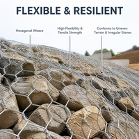 Rouleau de grillage hexagonal galvanisé à chaud, grillage gabion, grillage pour volailles, clôture de jardin, construction agricole