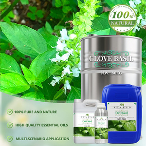 Aceite de albahaca de clavo Natural puro 100% para el cuidado de la salud de los dientes de la piel Eugenol, venta al por mayor, Extracto de planta, aceite esencial de albahaca de clavo - Product Image 5