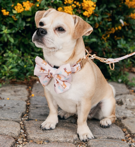 बड़े कुत्तों और बिल्लियों के लिए थोक अनुकूलित चिंतनशील प्रिंट प्रशिक्षण कॉलर पट्टा हार्नेस सेट - Product Image 4