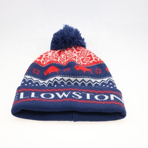 Gorro de Esquí Personalizado, Gorro de Punto de Invierno con Pompón para Equipos - Product Image 1