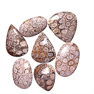 Natural <b>Black</b> Fossil Loose Gemstone Cabochon <b>Polished</b> Mix Shape Customizable Size for Jewelry Making - Product Image 1