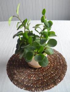 Lông chim trĩ lông placemats bảng lông placemats cho trang trí nội thất - Product Image 4