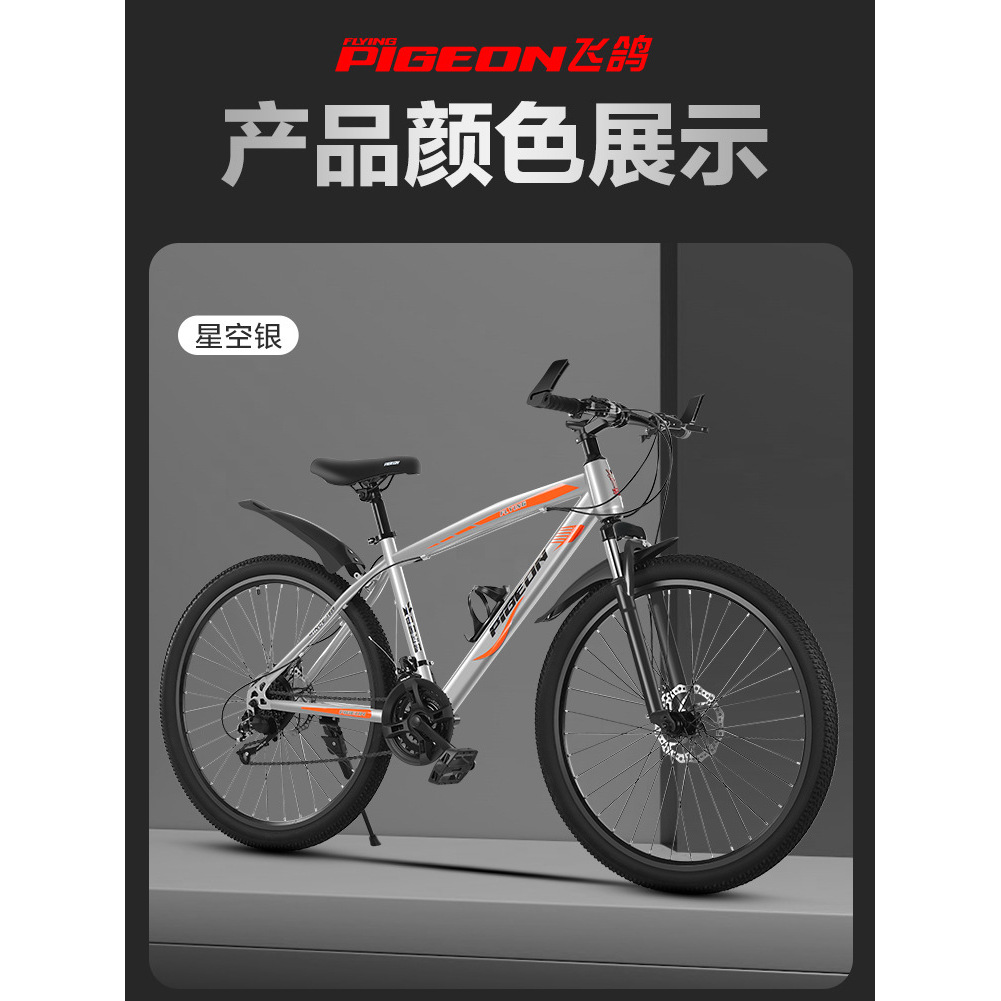 Silver-gray 21 speed