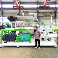 Machine extrudeuse d'aliments pour poissons flottants RICHI - Prix compétitif - Machine de fabrication de granulés d'aliments pour poissons économe en énergie à vendre aux Philippines