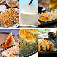 Machine à faire des enveloppes de Gyoza électriques, presse à peau de raviolis japonais ultra-fine, 3000-3600 pièces/h pour la maison et la cuisine d'Izakaya