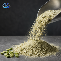 Poudre de protéines de pois végétalienne de qualité alimentaire pour la nutrition sportive, les substituts de repas et les boissons – Vente en gros