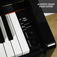 XIONGHAI Professional Acoustic Digital Piano Wholesale Digital Piano 88 Keys Musical Instruments China Upright Keyboard Piano