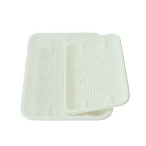 2023 Customized Food Grade Frozen Food Fruit Meat Fish Cornstarch Tray