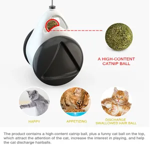 Tumbler Swing Cat Toys Kitten Interactive Balance Car Cat Chasing Toy con <span class=keywords><strong>Catnip</strong></span> Funny Cat Products Support Dropshipping - Product Image 5