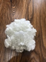 Haute qualité Polyester tridimensionnel creux siliconé 7D * 64mm HCS fibre discontinue pour animaux de compagnie 15D * 64MM Hcs
