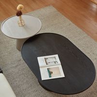 Ensemble de table basse ovale Table basse minimaliste moderne pour petit salon buffet armoire Designer Table basse ovale créative