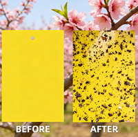 Pièges collants puissants pour moucherons, aphides, moucherons blancs et thrips – Attrape-insectes jaunes pour protection des plantes intérieures et extérieures