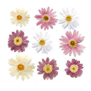 Marsey — Scrapbooking en résine époxy, résine naturelle, écologique, vraies fleurs pressées, DIY bricolage - Product Image 4