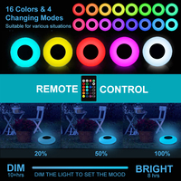 Boule Solaire Flottante avec 16 Couleurs RVB LED Télécommande IP68 pour Plage et Piscine