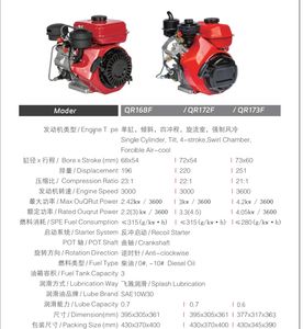 Motore Diesel Monocilindrico 168F 170F 172 173 Raffreddato ad Aria, Facile da Usare, Avviamento Elettrico, Motore ad Acqua <span class=keywords><strong>Euro</strong></span> 5 per Piccole Macchine Agricole - Product Image 6
