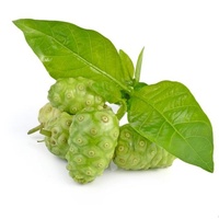 Food Grade Hoge Zuiverheid Grote Voorraad Noni Fruit Poeder Noni Vruchtensap Poeder Volledig In Water Oplosbaar