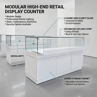 Vitrine élégante pour bijouterie, vitrine d'opticien, éclairage LED, armoire à montres et bijoux, comptoir de présentation de bijoux, design pour magasin