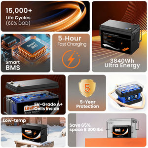 Batería <span class=keywords><strong>de</strong></span> Litio <span class=keywords><strong>de</strong></span> Hierro <span class=keywords><strong>de</strong></span> 12.8v 300ah 200A BMS 280A para Cortacésped Eléctrico, Esparcidor <span class=keywords><strong>de</strong></span> Semillas, <span class=keywords><strong>Desbrozadora</strong></span> - Product Image 6