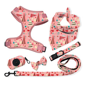 Conjunto de arnés de neopreno Reversible para perro, conjunto de arnés para perro con correa a juego, Collar, bolsa para caca, personalizado, venta al por mayor - Product Image 6