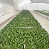 Serre multi-travée à membrane en plastique remplie de dôme d'air télécommandé de contrôle automatique moderne de Offre Spéciale pour l'agriculture