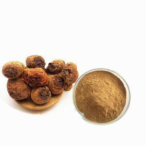 Порошок экстракта грибов 30% бета-глюкана - Product Image 3