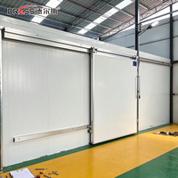Unit Freezer Gudang Pendingin Walk-in untuk Daging, Makanan Laut, Blast Chiller Komersial 380V Grosir Pabrik