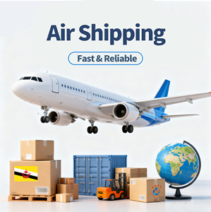 Авиаперевозки грузов из Шанхая в Бруней — доставка <span class=keywords><strong>DHL</strong></span>/UPS/FedEx, управление опасными грузами и надежная коммерческая доставка - Product Image 1