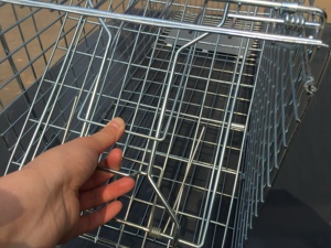 Meilleure vente et personnalisable Piège à cage de capture vivante <span class=keywords><strong>Chat</strong></span> Lapin Souris Souris Renard Contrôle Animaux CagesLutte <span class=keywords><strong>antiparasitaire</strong></span> - Product Image 5