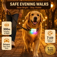 Traceur GPS/Beidou G63 pour animaux de compagnie avec suivi en temps réel, affichage de la durée, de la distance et des calories, étanche IP67, réseau 4G