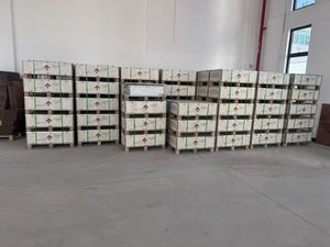 Batterie au lithium fer phosphate 51,2 V 300 Ah, batterie solaire à cycle profond, M40201, stockage haute capacité 5120 Wh, énergie E - Product Image 6