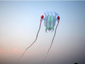 <span class=keywords><strong>Cerf</strong></span>-<span class=keywords><strong>volant</strong></span> en nylon souple 3D Trilobite LED Performance de plage par <span class=keywords><strong>cerf</strong></span>-<span class=keywords><strong>volant</strong></span> gonflable géant - Product Image 3