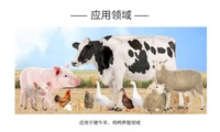 Bactéries lactiques de qualité alimentaire pour l'alimentation animale additif probiotique bactéries poudre prévenir les maladies favoriser la croissance