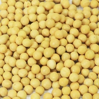 Graines de soja jaunes en vrac, soja de première qualité, nouvelle récolte, non-OGM, pour la cuisson, la germination et la transformation alimentaire