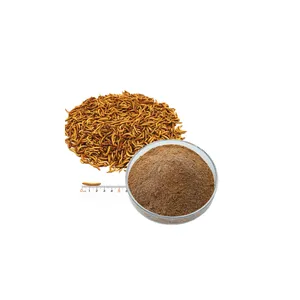 Dried mealworm feed grade animal food additives breeding birds meal