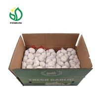 Ajos / Ail rouge frais de Chine pour le marché chilien 10kg/carton, 55mm/60mm Qualité export