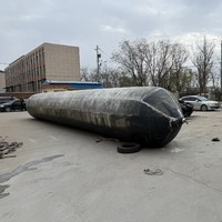 Utilisé pour la réparation des navires, le levage, le déplacement, le mise à l'eau, le débarquement, ponton/ballon gonflable en caoutchouc