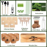 Kit de bonsaï de luxe écologique en 5 pièces, facile à cultiver pour les débutants, kit de jardin d'intérieur en bonsaï vivant, boîte en bois, outils, plante