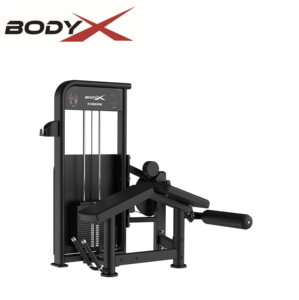 Appareil de <span class=keywords><strong>musculation</strong></span> rotatif pour le tronc, équipement de gym commercial en acier BLY-11 pour entraînement en salle - Product Image 5
