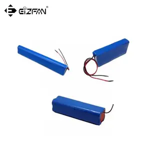 PVC电池组Efan 100% 制造商18650 21700锂不同自行车踏板车电池组