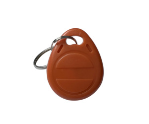 <span class=keywords><strong>Carte</strong></span> porte-clés RFID 125Khz pour contrôle d'accès <span class=keywords><strong>carte</strong></span> d'accès vierge <span class=keywords><strong>carte</strong></span> RFID porte-clés Rfid - Product Image 4