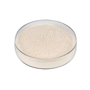 Bulk High Quality <strong>Onion</strong> <strong>Extract</strong> Powder - Product Image 2