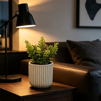 Promotion : Mini Plante Succulente Artificielle en Pot, Faux Bonsaï Succulent en Pot Céramique, Décoration de Table pour la Maison à Prix Abordable