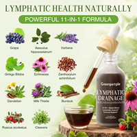 Kruiden vloeibare druppels met druivenpitolie, Ginkgo Biloba, paardenbloem, mariadistel, klis, echinacea, OEM, private label, groothandel