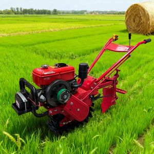 Mini Arado, Motocultor Agrícola con Motor Diésel y Gasolina para Cultivo Profundo del Suelo - Product Image 2