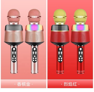 ลำโพงแบบชาร์จไฟได้คุณภาพสูงพร้อมไมโครโฟนไร้สายที่ปรับแต่งได้ - Product Image 2