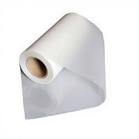 HyperTransprint 30cm A3 DTF Gang Sheet, Película PET de Doble Cara, Papel de Transferencia Térmica de Despegue Instantáneo, Negro, para Ropa, Digital