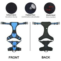 Accessoires pour chiens personnalisés par des designers, harnais et laisse pour chien réglables en nylon réfléchissant, respirant, OEM